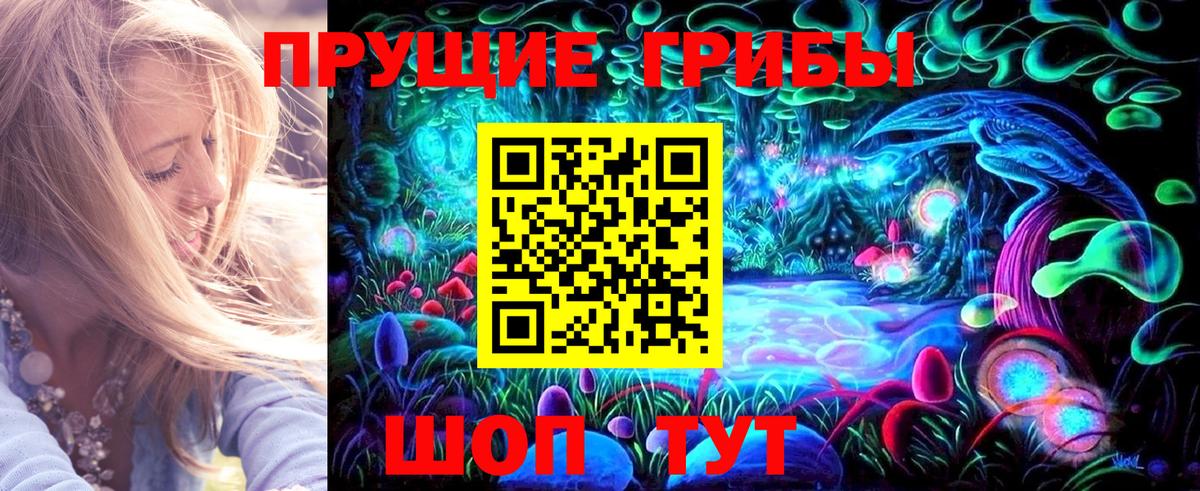 Галлюциногенные грибы прущие грибы Коряжма