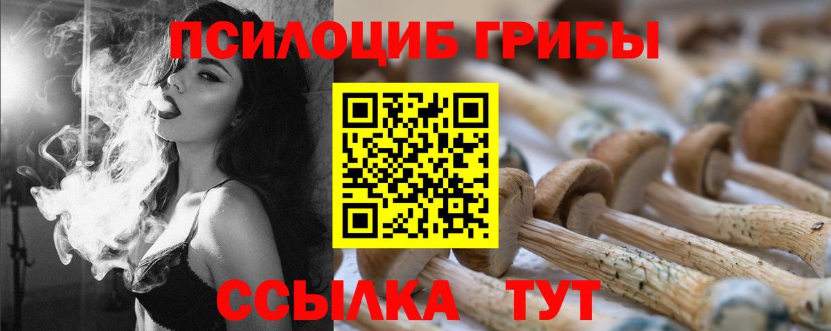 Коряжма  Псилоцибиновые грибы ЛСД  Галлюциногенные грибы Magic Shrooms  Вход с VPN 