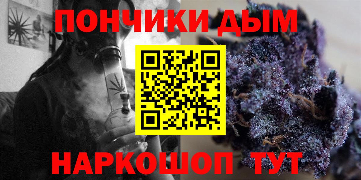 Каннабис индика Коряжма